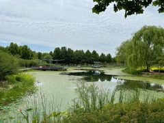 -北龙湖湿地公园
