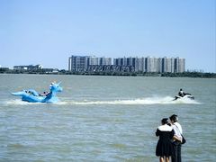 -瑶湖郊野森林公园