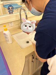 -喜月月子中心(海昌别墅店)