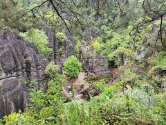 -梭布垭石林景区