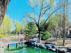 景点-景山公园