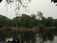 -石家庄市动物园