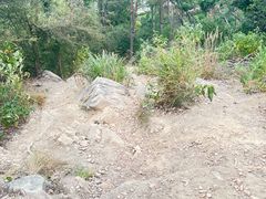 -青龙山国家森林公园