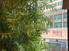 -翠园(北京王府中环店)