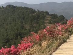 -木兰云雾山