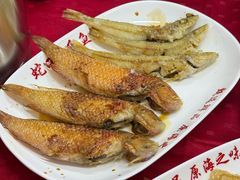 -蛇口康乐快餐鱼仔档(翠苑小区店)