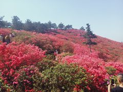 -木兰云雾山