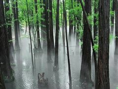-东湖落雁景区