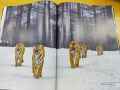 -荔湾区图书馆(周门馆)