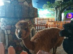 -华夏文旅海洋公园