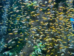 -合肥海洋世界