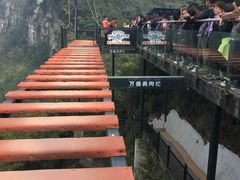 -梦幻奥陶纪景区