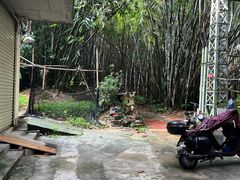 -火炉山森林公园