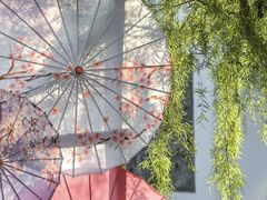 -厦门园林博览苑