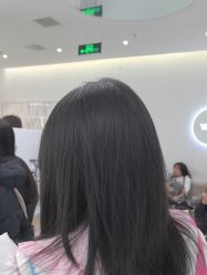 -YESIDO椰岛造型