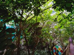 -呀路古热带植物园