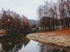 -厦门园林博览苑