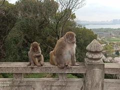 -苏州上方山国家森林公园