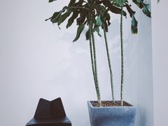 景观位-怪 kafe.