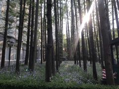 -上海虹桥迎宾馆