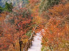 -明堂山风景区
