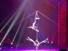 -珠海横琴长隆《卡卡虎奇遇记》