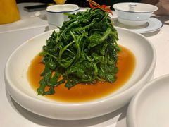 南京菊花脑-民国红公馆·秦淮八艳(夫子庙店)