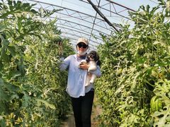 -庞各庄西瓜蔬菜采摘园·锦华瓜园