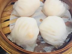 -添运来(茶园奥园广场店)