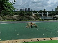-东莞植物园