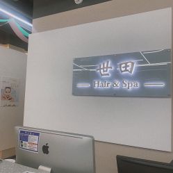 -世田造型