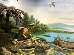 -辽宁古生物博物馆