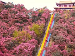 -东莞观音山旅游风景区