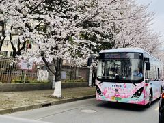 -高东镇樱花园