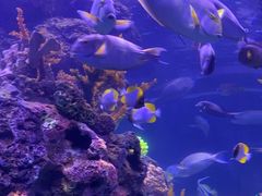-成都浩海立方海洋公园