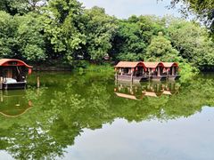 -侨美·唐荔园·40年地道粤菜