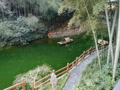 -十八棵（老龙井）御茶园(老龙井店)