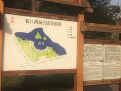 -新江湾城公园
