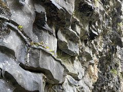 -鹿院坪生态旅游景区