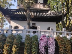 -汇龙潭
