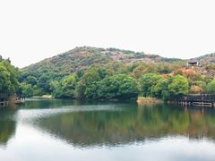 -白马涧龙池景区