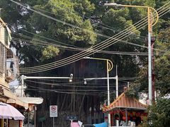 -后街女孩肠粉店