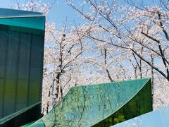 -龙美术馆西岸馆-停车场