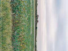 -天津东丽湖风景区