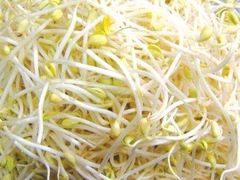豆芽-九久大过桥米线(太古里店)