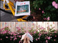 -南京国际青年文化中心