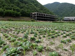 -梦娜斯庄园