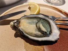 -Osteria Garden 生蚝花园餐厅(原进贤路店)