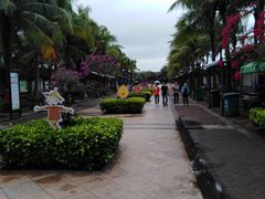 -白沙门生态公园