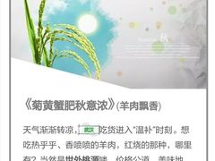 -武汉世外桃源农庄